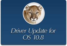 ML DriverForWeb