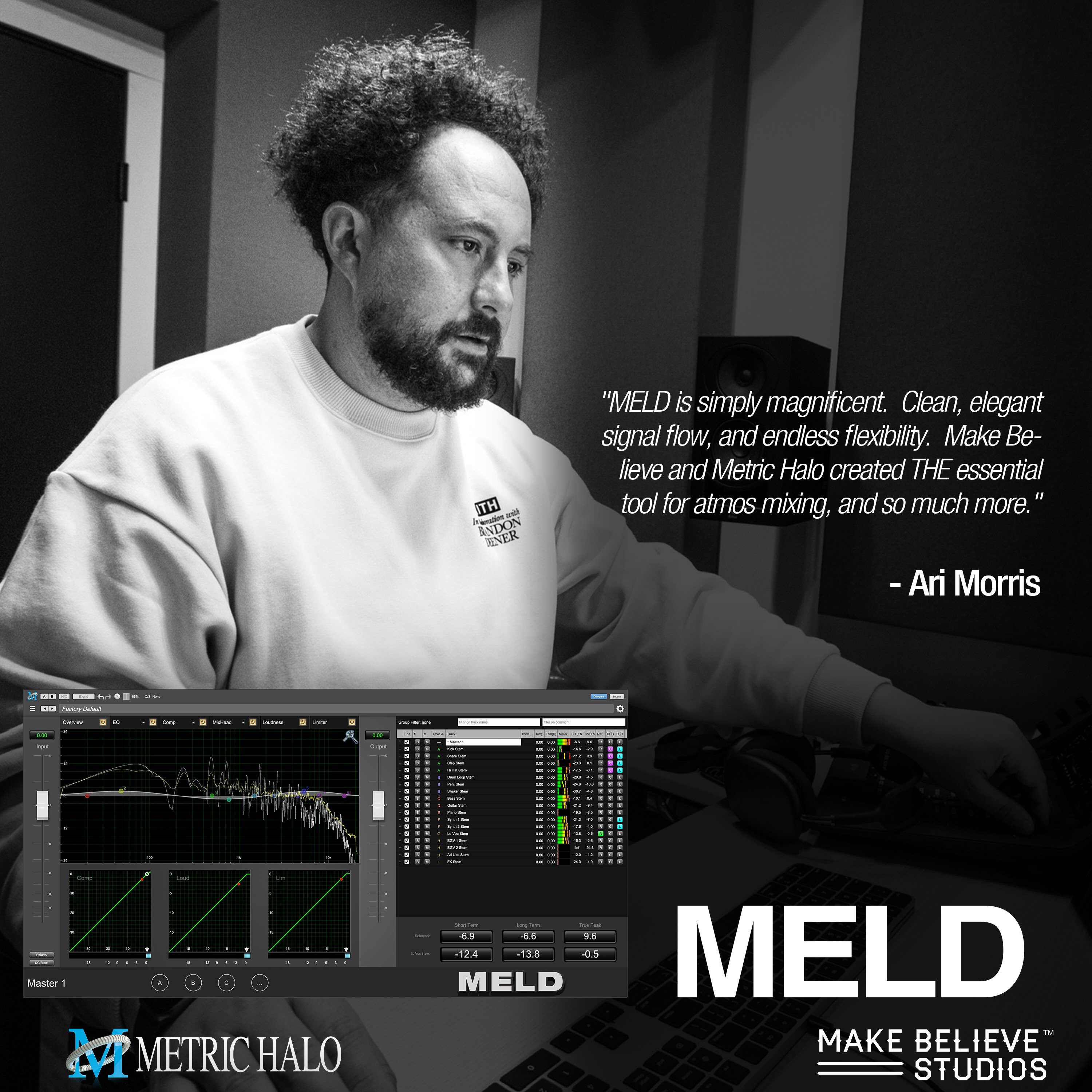 MELD_AD_2025_ARIMORRIS